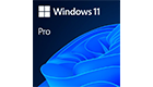 MICROSOFT FQC-10528 Windows 11 Professional 64Bit English Intl 1pk DSP OEI DVD